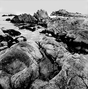 bwmonterey01