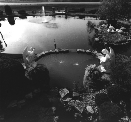 bw sunset memorial pond rt1 project