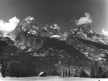 bw tetons and pasture