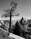 bw half dome 02