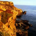 color point lobos 03